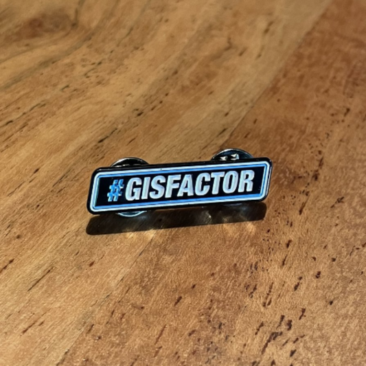 #GISFACTOR Pin